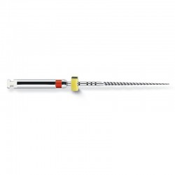 Ace ProFile.04 RA 21mm Dentsply