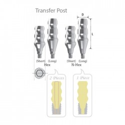 BONT AMPRENTA Transfer D5.5 L11