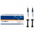 Grandio Flow - syringe 2 x 2 g A1