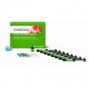 CHARISMA SMART Combi Kit 8 x 4 g+GLUMA 2Bond