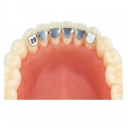 Retainer inferior de la canin la canin 37mm 2buc