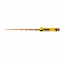 WAVE GOLD SMALL 31mm 3 ACE Dentsply