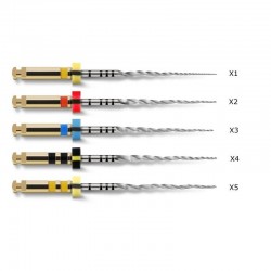 Protaper Next Set Asortat 6 ace X1-X3 21mm Dentsply