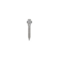 Mini-implant palatinal expander L11mm GH 2mm 2bucati Leone
