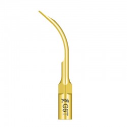 Ansa detartraj G6T Woodpecker
