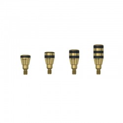 Bont de vindecare EV L Dentsply
