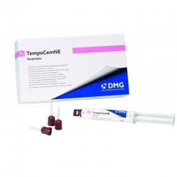 TempoCem NE Smartmix Seringa 11g DMG