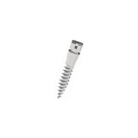 Mini Implant autoforant Dual Slot Cap Scurt D2 L8 Leone