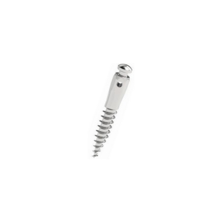 Mini-implant cu canelura D2 L8 Cap Scurt Leone