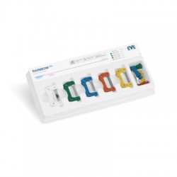 Set benzi abrazive cu maner Rainbow IPR Single Sided Eve