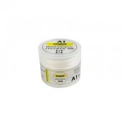 Ceramica PFM Opac Pasta 5g Ceraman