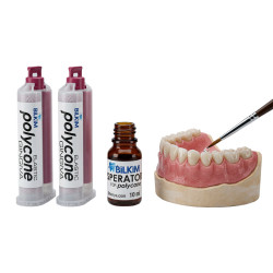 Polycone Gingiva Bilkim