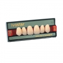 Dinti Ivostar Set X 6 A-D Ivoclar