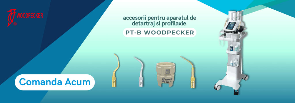 accesorii-pt-b-woodpecker